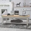 Ashbourne Grey Painted Large Coffee Table -Furniture Sale Shop img 1717