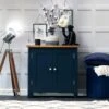 Rutland Blue Painted Oak 2 Door Cupboard -Furniture Sale Shop ra sms blue